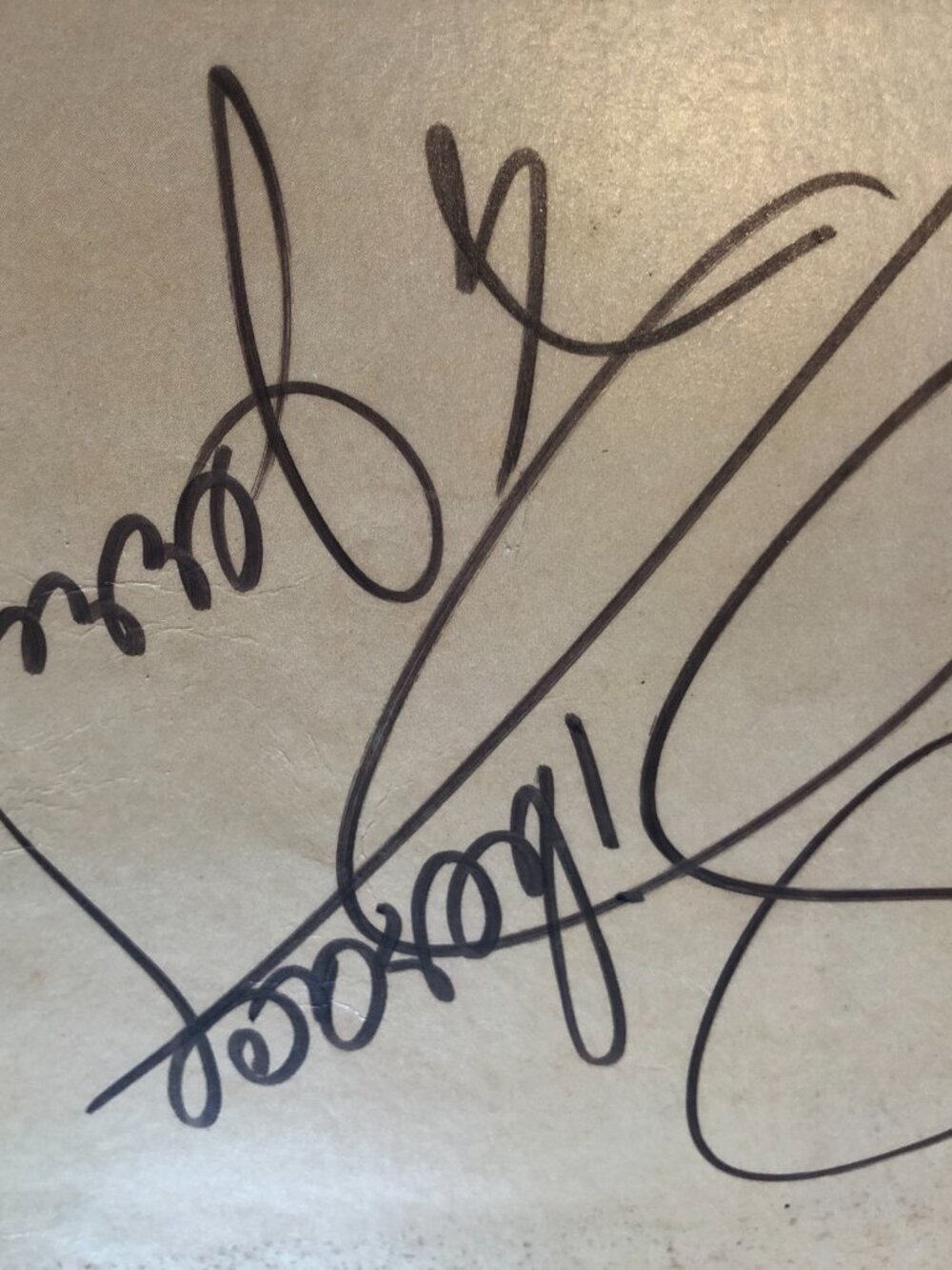 Liberace Autographed Program Signed on Back - Picture 6 of 11